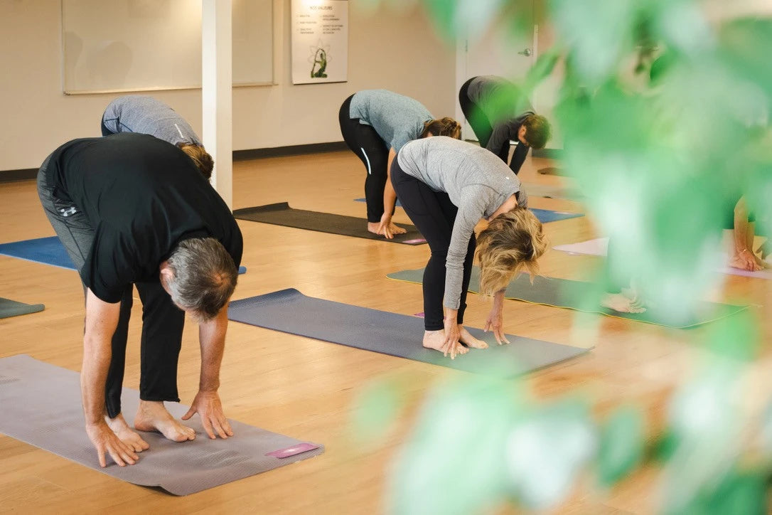 Yoga Hatha tous niveaux