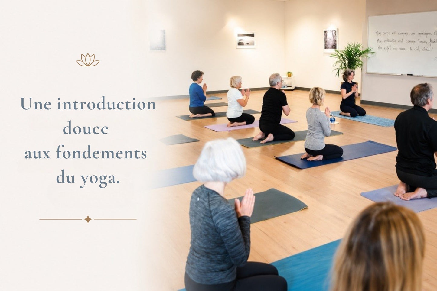 Yoga Hatha débutant - Lundi