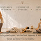 Hatha, Yoga Nidra, Méditation
