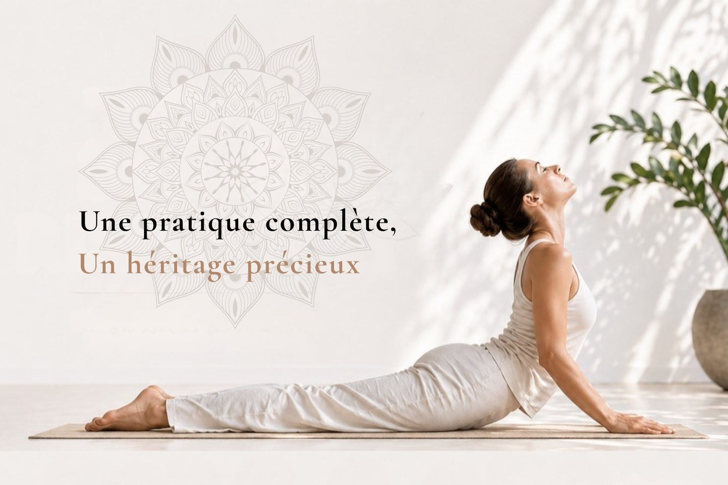 Yoga Sivananda (série Rishikesh)