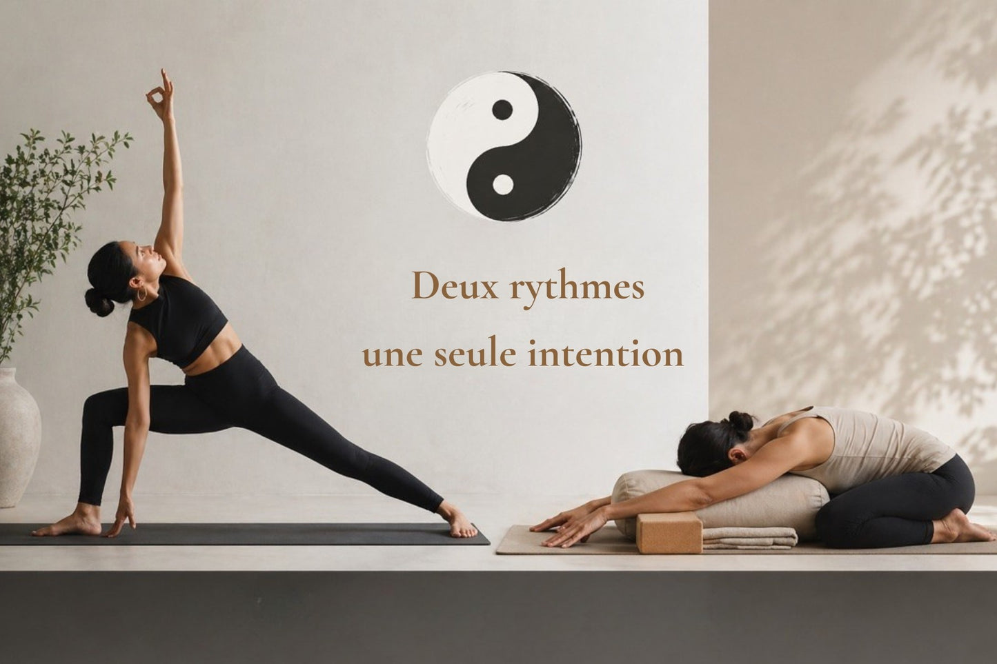 Yin Yang tonique