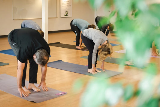 Yoga Hatha tous niveaux
